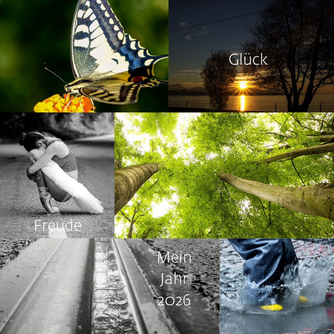Collage aus sechs Motiven: Ein Schmetterling auf einer Blüte, ein Sonnenuntergang hinter Bäumen mit dem Wort ‚Glück‘, eine Frau sitzend und umarmend in einer stillen Haltung mit dem Wort ‚Freude‘, ein Blick nach oben in leuchtend grüne Baumkronen, nasse Bahngleise in Schwarz-Weiß mit der Schrift ‚Mein Jahr 2026‘ und ein Paar Gummistiefel, die in eine Pfütze springen.